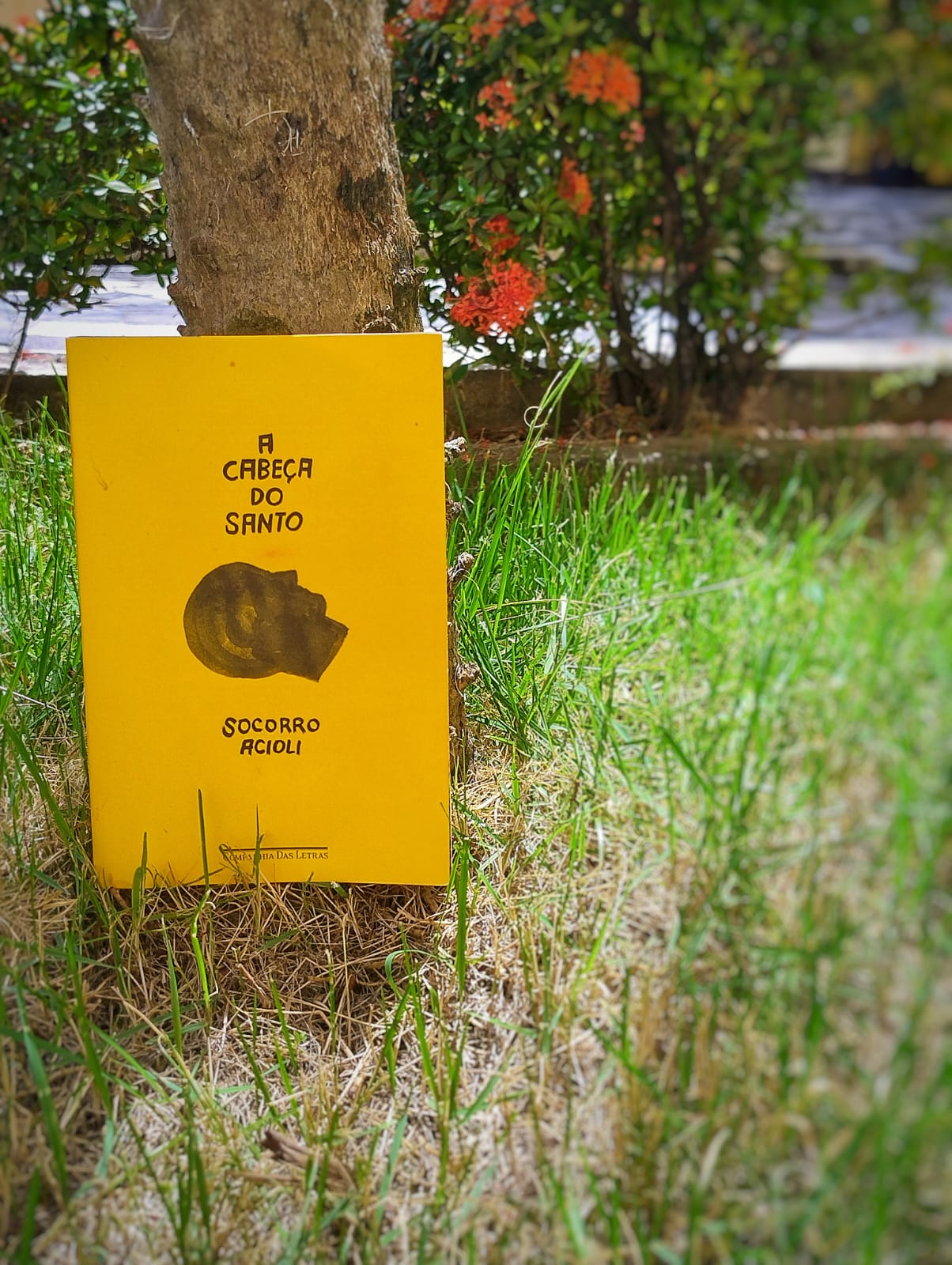 duas tintas de livro: “a cabeça do santo”